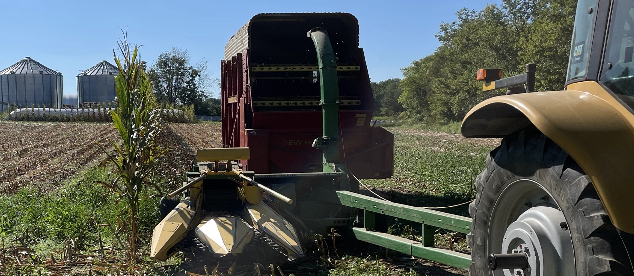Image of tractor chopping corn on the farm